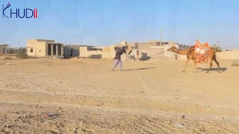 camel library alif laila book 2